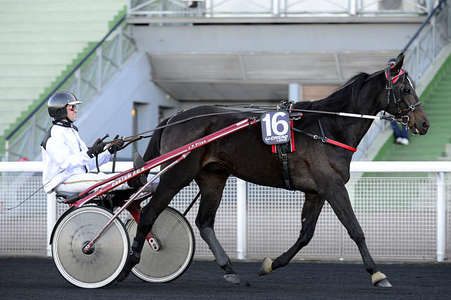 Actualités Hippiques